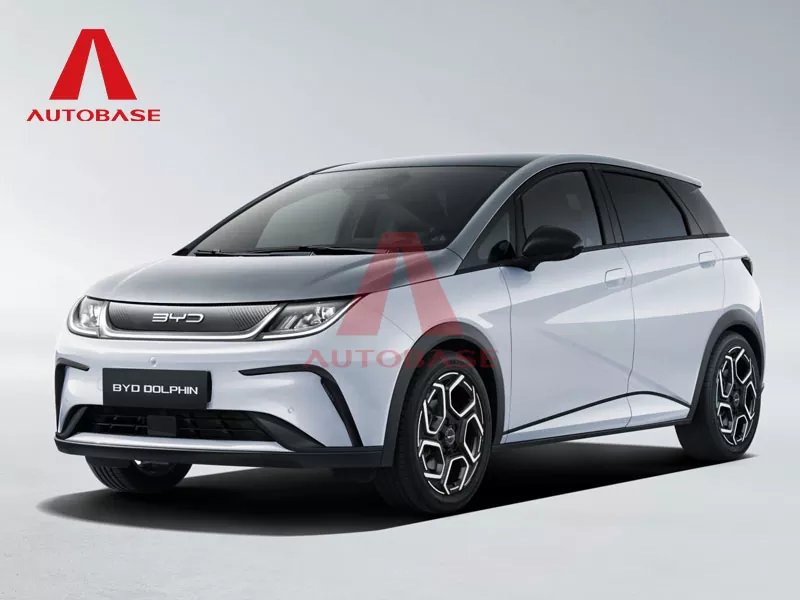 BYD Cá heo
